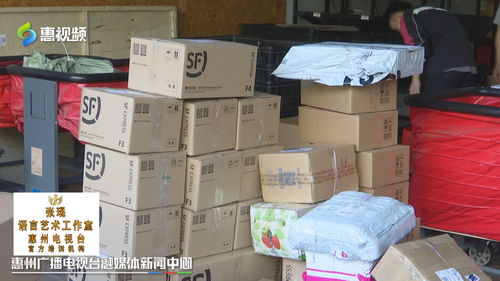 双十一惠州网友热衷“血拼”食品，快递公司迎来揽件高峰