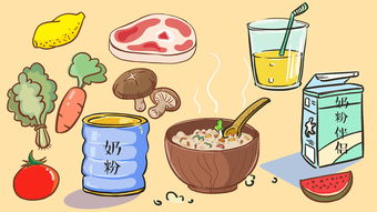 食物与日用品 生活中的必需品